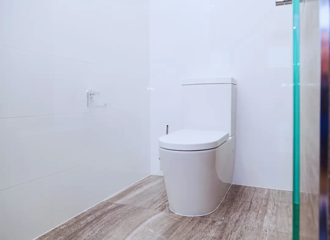 Remplacement de wc Champhol